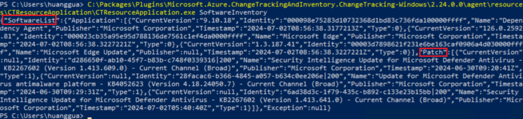 CT&I Windows Agent Software Collection Sample Output