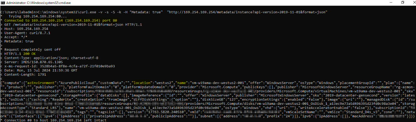 IMDS Response on Azure VM with Bash