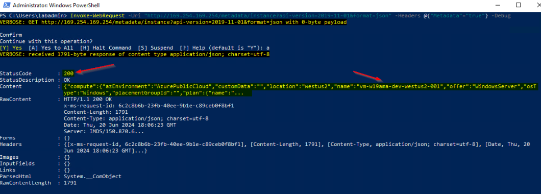 IMDS Response on Azure VM with PowerShell