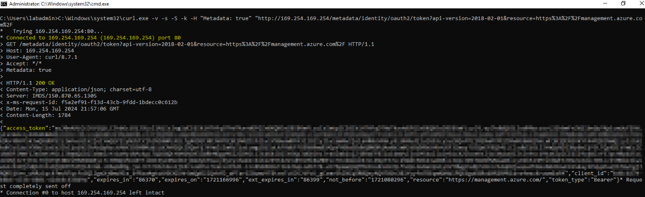 System Managed Identity Access Token from IMDS on Azure VM with Bash