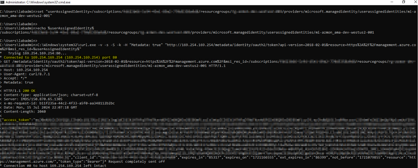 User Managed Identity Access Token from IMDS on Azure VM with Bash