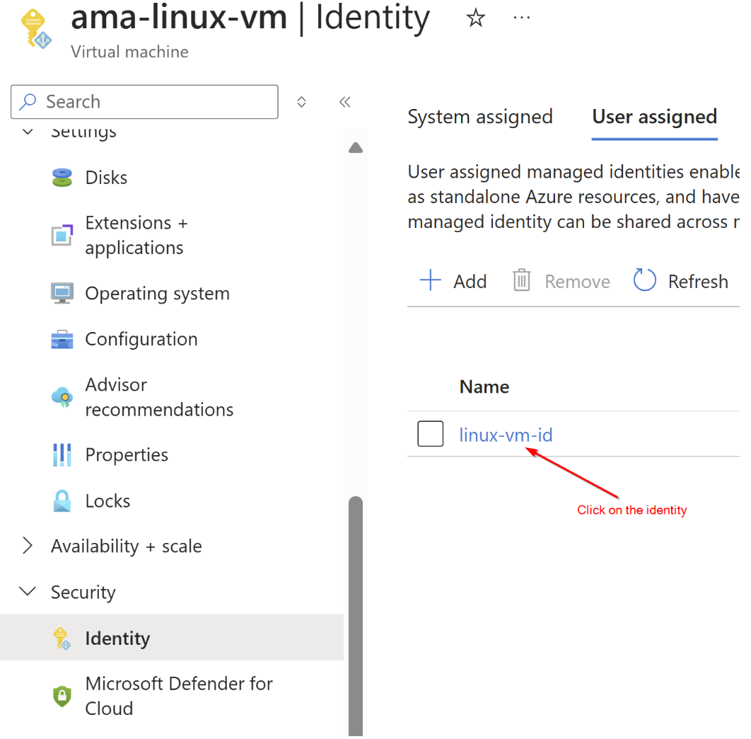 Assigned User Identity